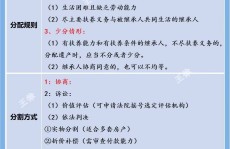 遗产继承分配流程2025年6月12日