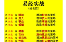 汽车号牌吉凶查询,解码车牌背后的运势密码