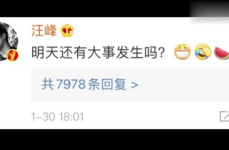 娱乐圈靠续费吃瓜在线观看,续费成瘾，吃瓜观众在线狂欢