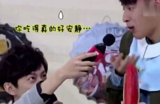 多多娱乐吃瓜,揭秘娱乐圈吃瓜背后的真相与笑料