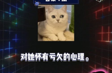 娱乐八卦开心吃瓜视频,开心吃瓜,揭秘明星幕后故事