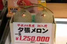 吃大瓜娱乐八卦图,吃瓜图鉴,明星幕后故事一网打尽