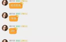 娱乐吃瓜酱谐音歌词完整版,揭秘谐音歌词背后的趣味与魅力