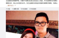 娱乐圈大型吃瓜群众小说,瓜田里的明星秘闻