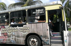 娱乐吃瓜酱坐公交车,揭秘明星幕后趣事