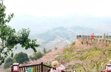 zhanqun.vip,三月份适合去哪里旅游,春意盎然，赏花踏青好去处