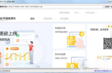 淘宝直通车助手,全方位提升店铺流量与销售的秘密武器