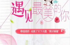 婚介相亲,现代单身人士的婚恋新途径